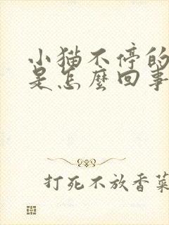 小猫不停的踩奶是怎么回事