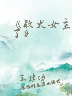 《败犬女主太多了》