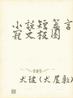 小说短篇言情甜宠文校园