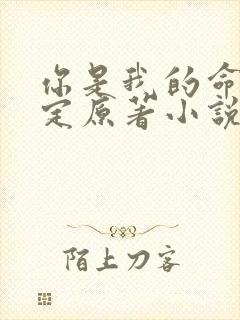 你是我的命中注定原著小说叫什么