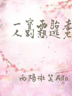 一宝两胎老婆大人别想逃免费阅读