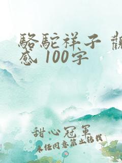 骆驼祥子 观后感 100字