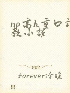 np高h重口调教小说