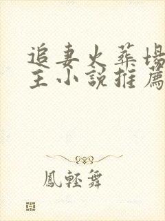 追妻火葬场双男主小说推荐