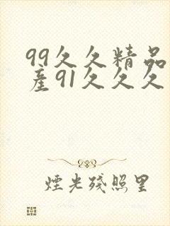 99久久精品国产91久久久