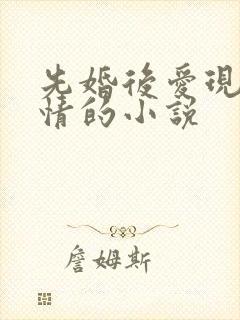 先婚后爱现代言情的小说