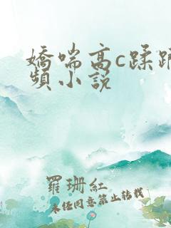 娇喘高c蹂躏视频小说