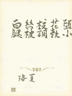 白丝校花堕落玉腿被调教小说