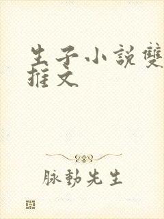 生子小说双男主推文