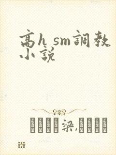 高h sm调教小说