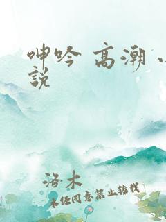 呻吟 高潮 小说