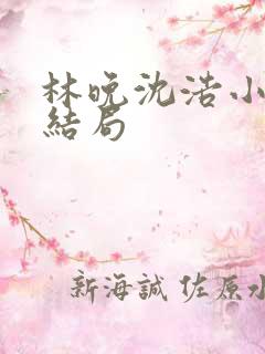 林晚沈浩小说大结局