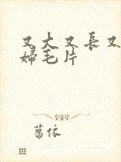 又大又长又爽少妇毛片