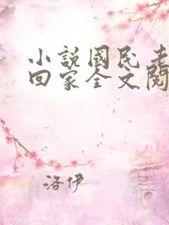 小说国民老公带回家全文阅读