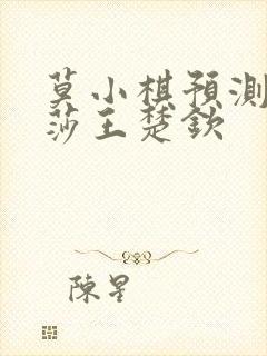 莫小棋预测孙颖莎王楚钦