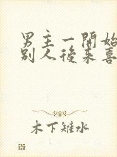 男主一开始喜欢别人后来喜欢女主