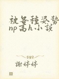 被各种姿势玩弄np高h小说