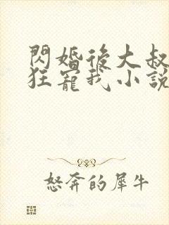 闪婚后大叔每天狂宠我小说完整版本