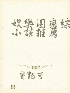 娱乐圈恋综言情小说推荐