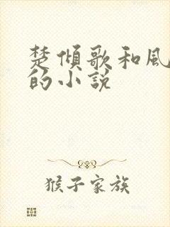 楚倾歌和风漓夜的小说