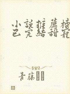 小说推荐榜言情已完结甜宠