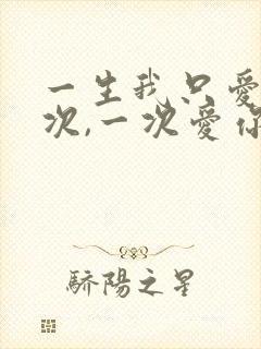 一生我只爱你一次,一次爱你一生是什么歌
