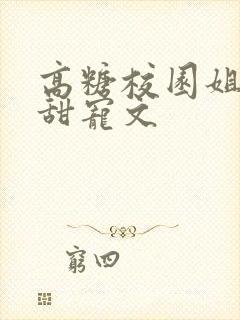 高糖校园姐弟恋甜宠文