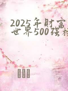 2025年财富世界500强榜单