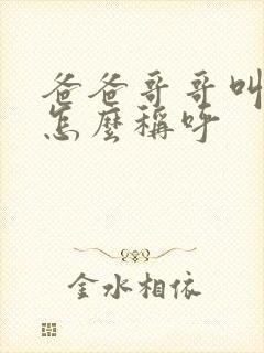 爸爸哥哥叫什么怎么称呼