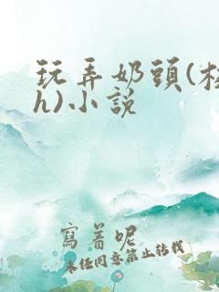 玩弄奶头(校园h)小说