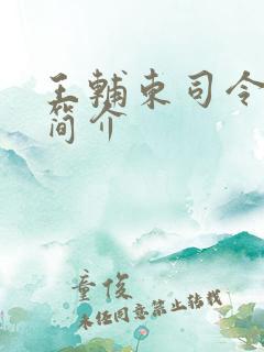 王辅东司令资料简介