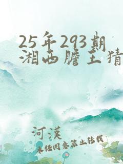 25年293期湘西胆王猜今日3d字谜