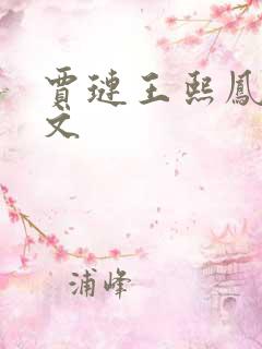 贾琏王熙凤同人文