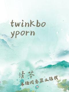 twinkboyporn