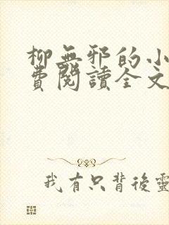 柳无邪的小说免费阅读全文