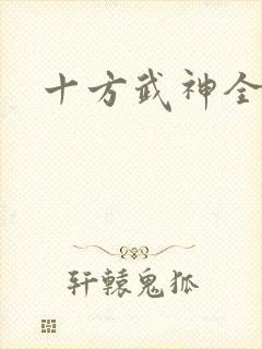 十方武神全书