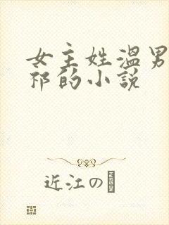 女主姓温男主姓祁的小说