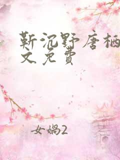 靳沉野唐栖雾全文免费