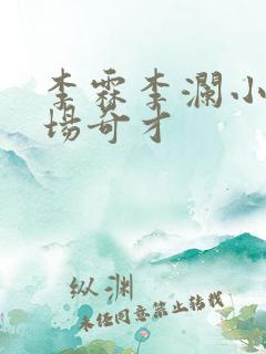 李霖李澜小说官场奇才