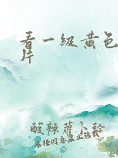 看一级黄色国产片
