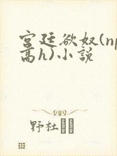 宫廷欲奴(np高h)小说