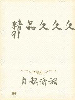 精品久久久久久91