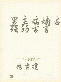 男主病娇占有欲强的古言