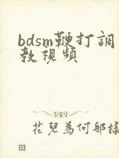 bdsm鞭打调教视频
