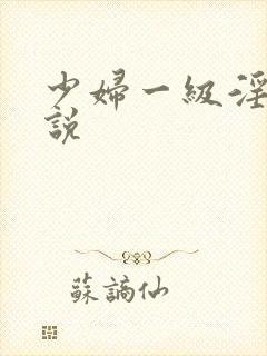 少妇一级淫篇小说