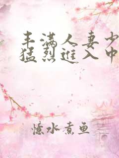 丰满人妻少妇被猛烈进入中文字幕