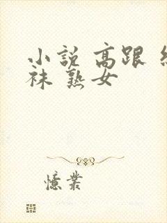 小说 高跟 丝袜 熟女