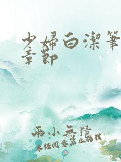 少妇白洁笔趣阁章节