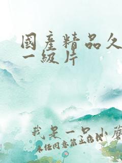 国产精品久久久一级片