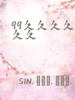 99久久久久久久久